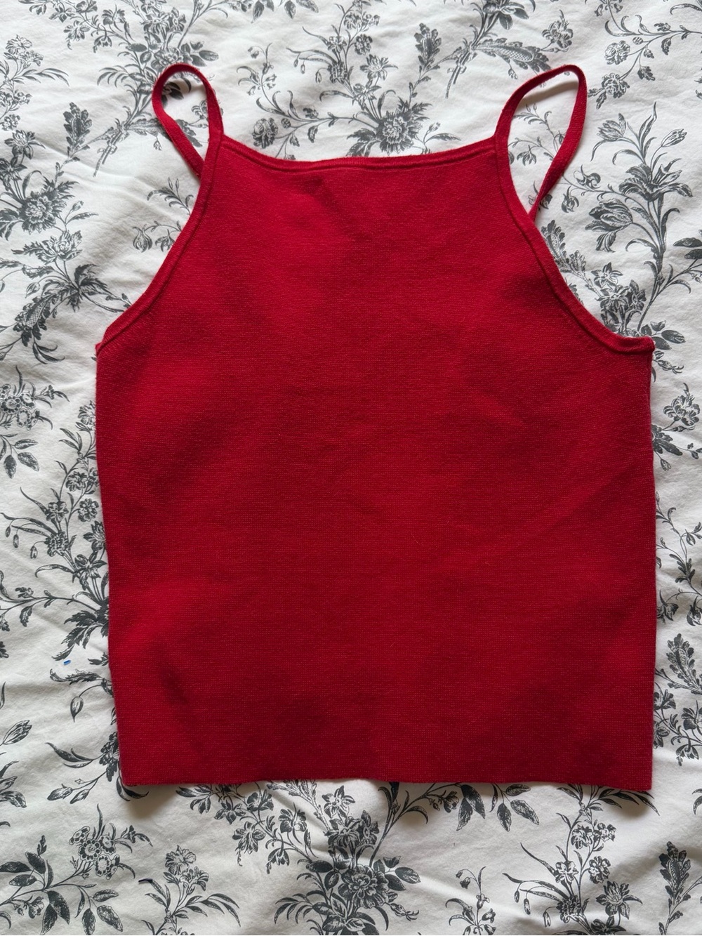 Madewell Scarlet Tank